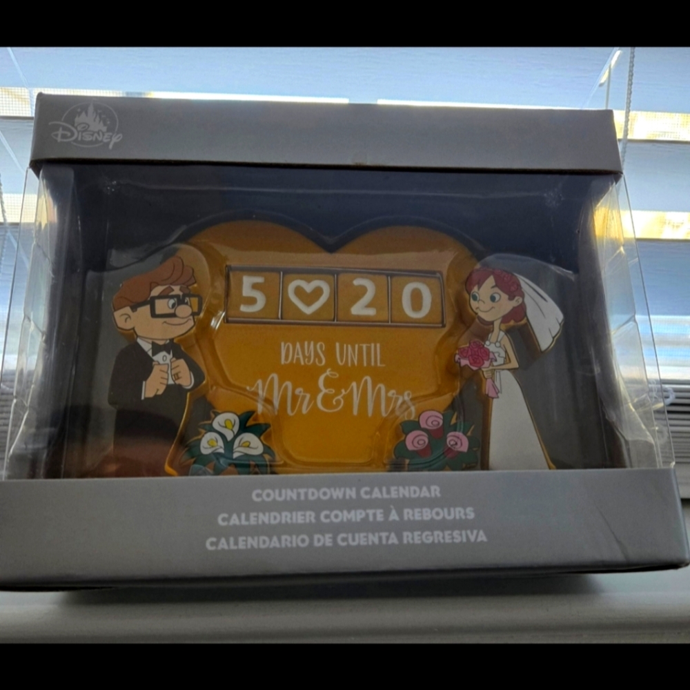 Disney Carl and Ellie Wedding Countdown Calendar
